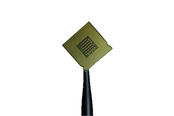 A biotech chip held in tweezers